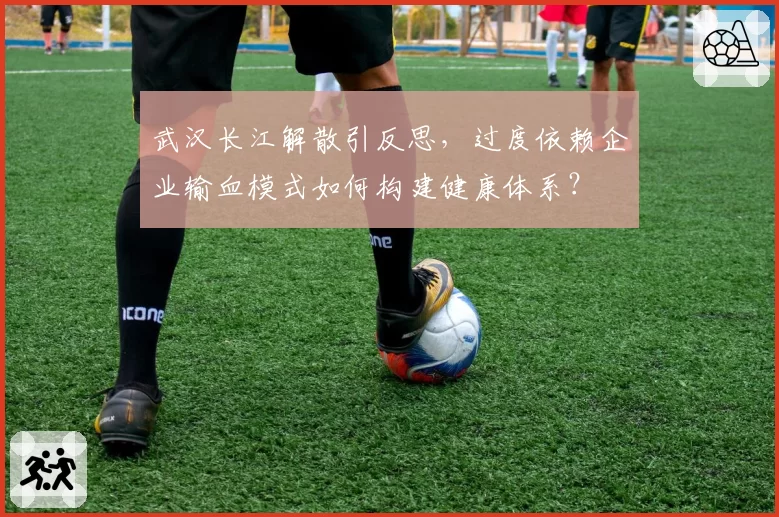 武汉长江解散引反思,过度依赖企业输血模式如何构建健康体系?