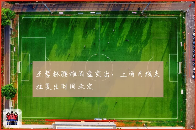 王哲林腰椎间盘突出，上海内线支柱复出时间未定