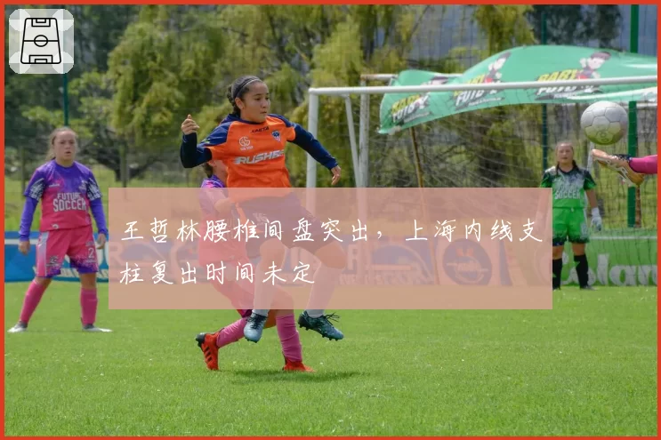 王哲林腰椎间盘突出，上海内线支柱复出时间未定