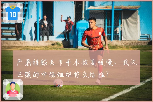 严鼎皓膝关节手术恢复缓慢，武汉三镇的中场组织将交给谁？