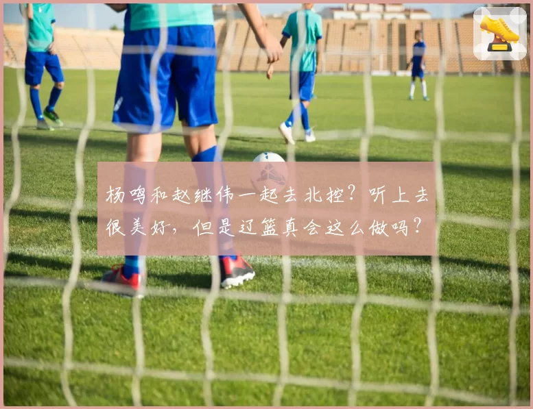 杨鸣和赵继伟一起去北控？听上去很美好，但是辽篮真会这么做吗？